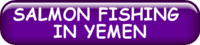 SALMON FISHING IN THE YEMEN
