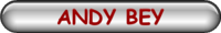ANDY BEY