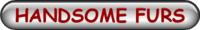 HANDSOME FURS