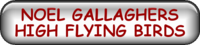 NOEL GALLAGHERS HIGH FLYING BIRDS