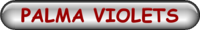PALMA VIOLETS