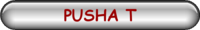 PUSHA T