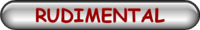 RUDIMENTAL
